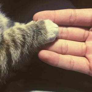 三年中文在线观看免费大全电视剧
